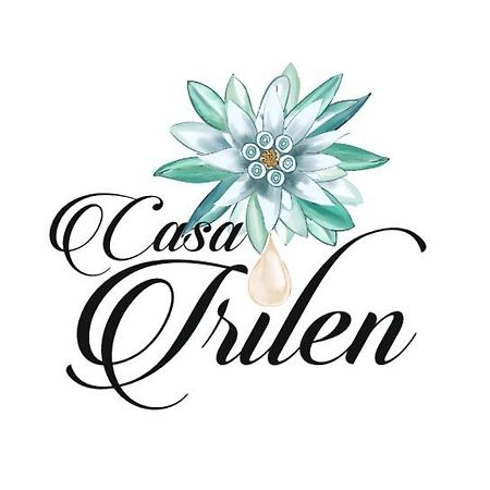 Hotel Casa Irilen à Mînăstirea Humorului Extérieur photo