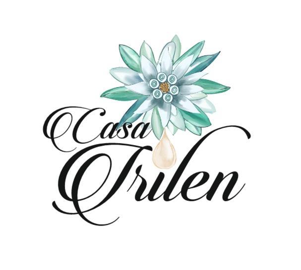 Hotel Casa Irilen à Mînăstirea Humorului Extérieur photo