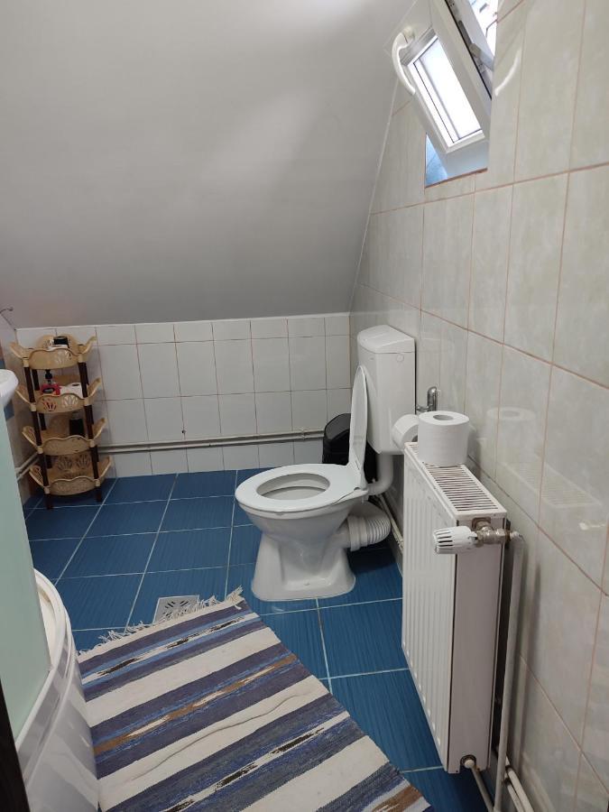 Hotel Casa Irilen à Mînăstirea Humorului Extérieur photo