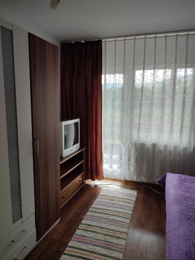 Hotel Casa Irilen à Mînăstirea Humorului Extérieur photo