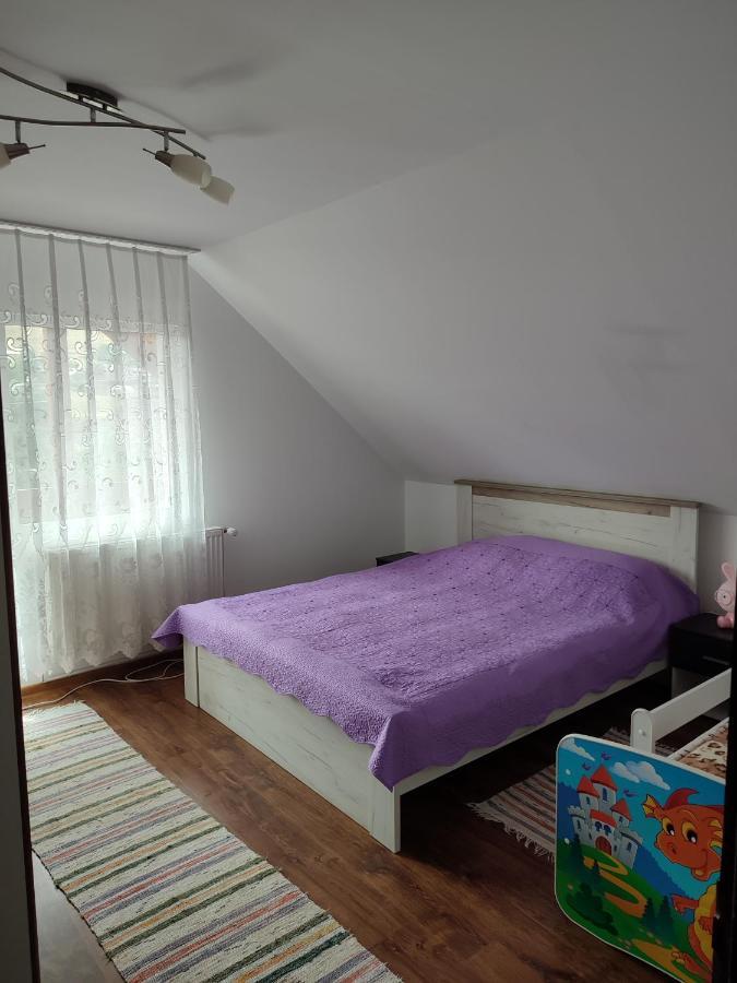 Hotel Casa Irilen à Mînăstirea Humorului Extérieur photo
