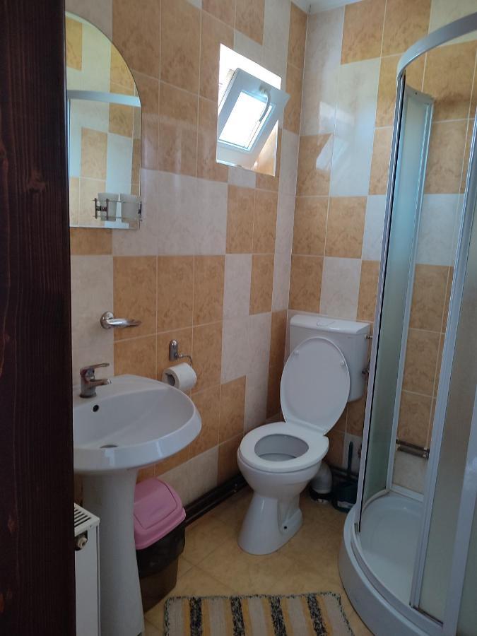 Hotel Casa Irilen à Mînăstirea Humorului Extérieur photo