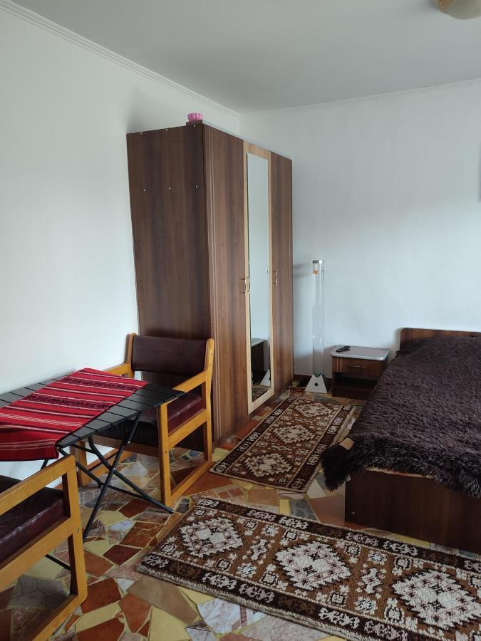 Hotel Casa Irilen à Mînăstirea Humorului Extérieur photo