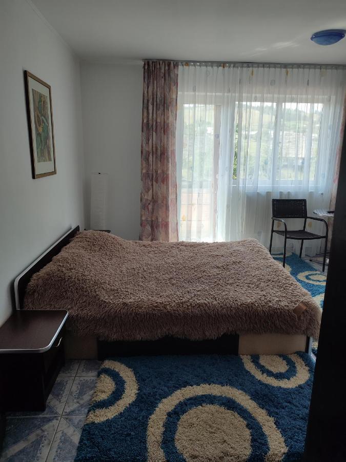 Hotel Casa Irilen à Mînăstirea Humorului Extérieur photo