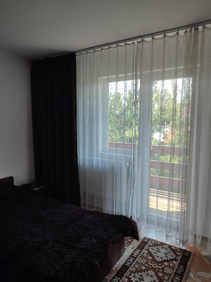 Hotel Casa Irilen à Mînăstirea Humorului Extérieur photo