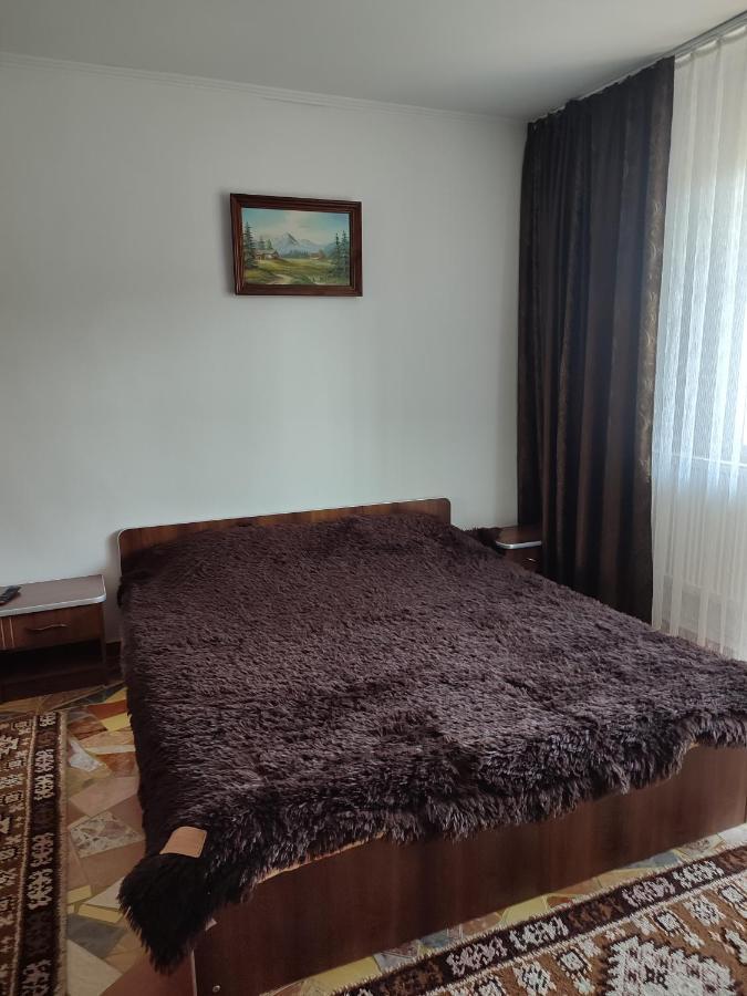 Hotel Casa Irilen à Mînăstirea Humorului Extérieur photo