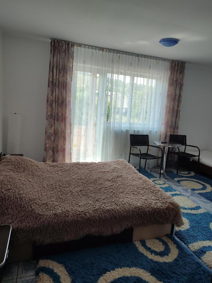 Hotel Casa Irilen à Mînăstirea Humorului Extérieur photo