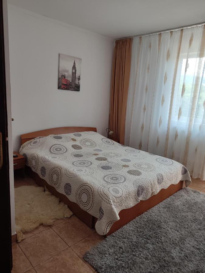 Hotel Casa Irilen à Mînăstirea Humorului Extérieur photo