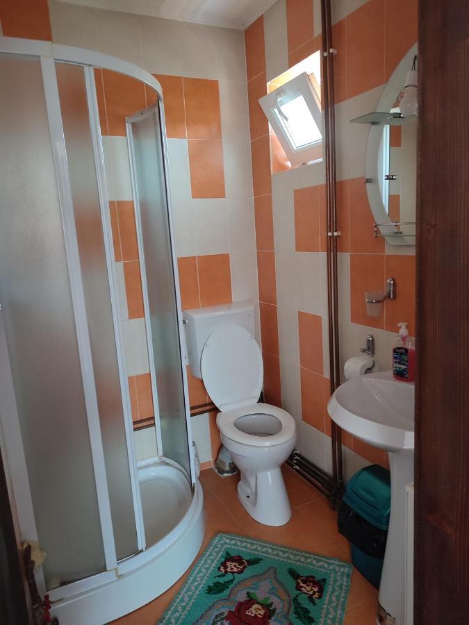 Hotel Casa Irilen à Mînăstirea Humorului Extérieur photo